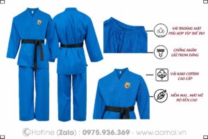 Vovinam